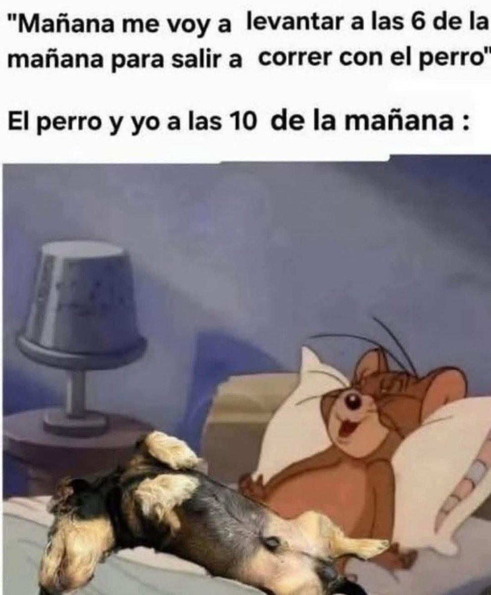 El Meme (@memessv7) on Twitter photo 