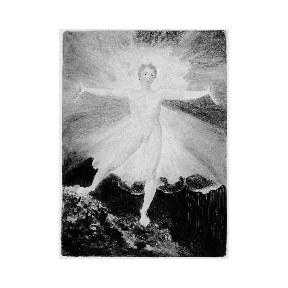 TB (@trillionbear) on Twitter photo 