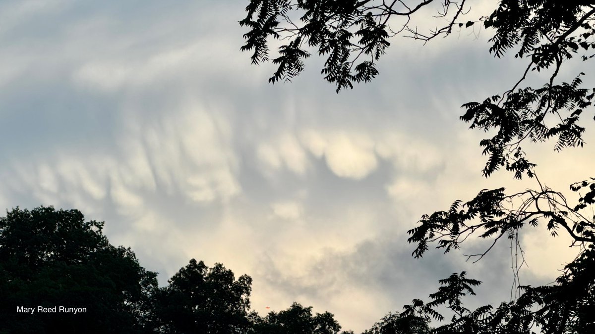 MaryReedRunyon1's tweet image. Cool clouds this week. @WYMT @brobwx @WSAZBrandon @SpencerWeather @cjwxguy56 @Kentuckyweather @jloganwxguy #ekywx #kywx #sekywx