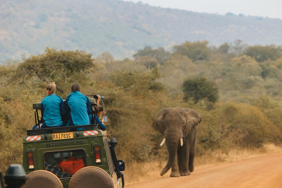 Visit Rwanda (@visitrwanda_now) on Twitter photo 🦁 A safari to remember, spotting the Big 5 in <a href="/AkageraPark/">Akagera National Park</a> with <a href="/ArsenalWFC/">Arsenal Women</a> players <a href="/Katie_McCabe11/">Katie McCabe</a>, <a href="/CaitlinFoord/">Caitlin Foord</a>, and <a href="/laiacodina5/">Laia Codina Panedas</a>.
#VisitRwanda 🤝 <a href="/Arsenal/">Arsenal</a> 🦁 A safari to remember, spotting the Big 5 in <a href="/AkageraPark/">Akagera National Park</a> with <a href="/ArsenalWFC/">Arsenal Women</a> players <a href="/Katie_McCabe11/">Katie McCabe</a>, <a href="/CaitlinFoord/">Caitlin Foord</a>, and <a href="/laiacodina5/">Laia Codina Panedas</a>.
#VisitRwanda 🤝 <a href="/Arsenal/">Arsenal</a>