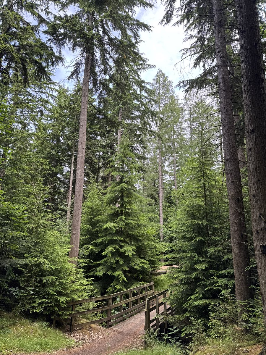 SMA_CCF's tweet photo. This weekend, 4 cadets participated in mountain biking with our friends from @111SquadronATC. Not only did they practice their skills on the training loop, cadets took to the trails and enjoyed lots of air time...

Doors will open in September for anyone wishing to get involved! https://t.co/QWd5M5uBpw