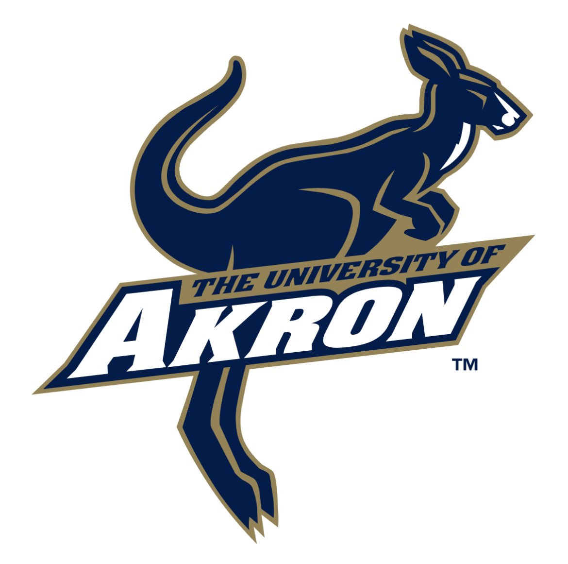 joshuatyson_'s tweet image. Akron Offered!!! 🙏🏾