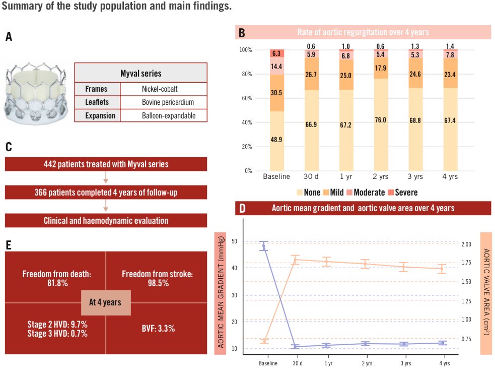 ignamatsant's tweet image. Now online the 4-year durability data for Myval THV in @EuroInterventio
👉 eurointervention.pcronline.com/article/four-y…
👉 Great job from our fellow @Aku92cardio
👉Thanks to all co-authors and to Drs @PPibarot and @ericvanbelle for their Editorial eurointervention.pcronline.com/article/the-ne…