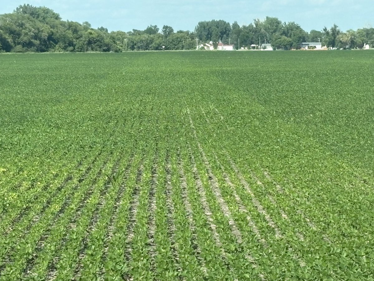 Embden, ND, simple check in the middle! Just flip it off for a round! Outside 5g <a href="/NACHURS/">NACHURS</a> Triple Option w/1qt Cropmax, 16 ounces Humiflex FA