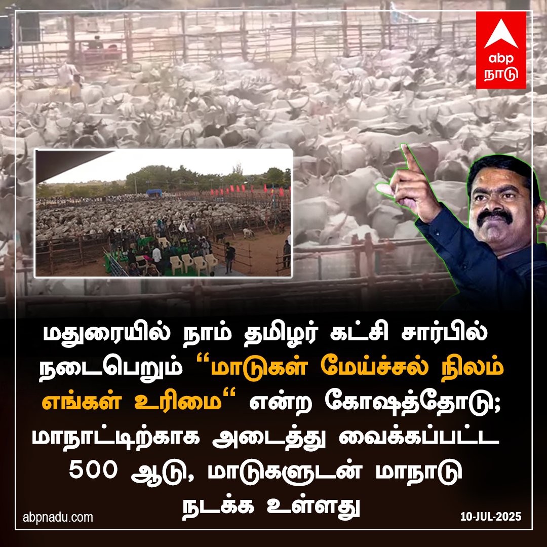 நாம் தமிழர் கட்சி சார்பில் நடைபெறும் "மாடுகள் மேய்ச்சல் நிலம் எங்கள் உரிமை" மாடுகள் மாநாடு

#naamtamilarkatchi #seeman #madurai #ntkseeman #ABPNadu
