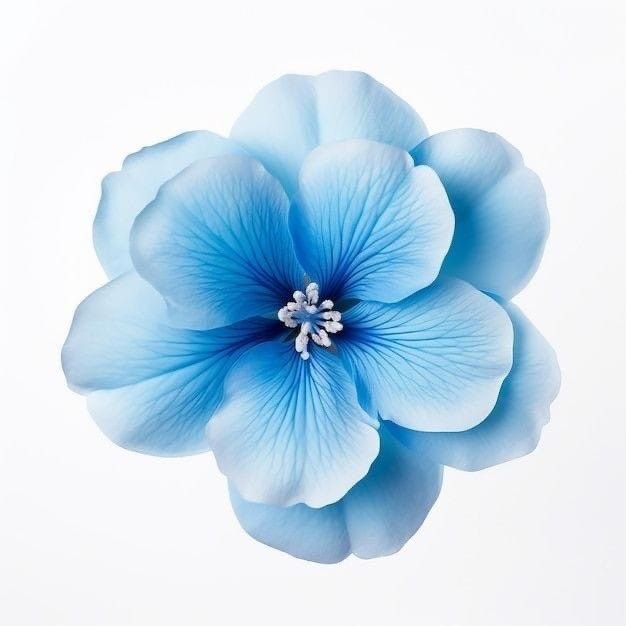 عطر الصيف 🦋💙🧿