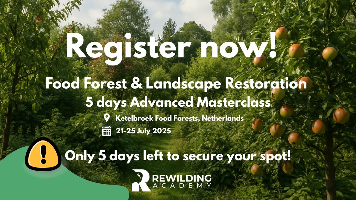 🌱 Only 5 days left!
Secure your spot now for the #FoodForest &amp; Landscape Restoration Masterclass — a unique opportunity to learn hands-on from experts in rewilding and regenerative agriculture.

📅 Don’t miss out — register today!
rewilding.academy/courses/food-f…

#AgriWilding