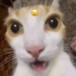 Grexyan_'s tweet image. we are all crazy