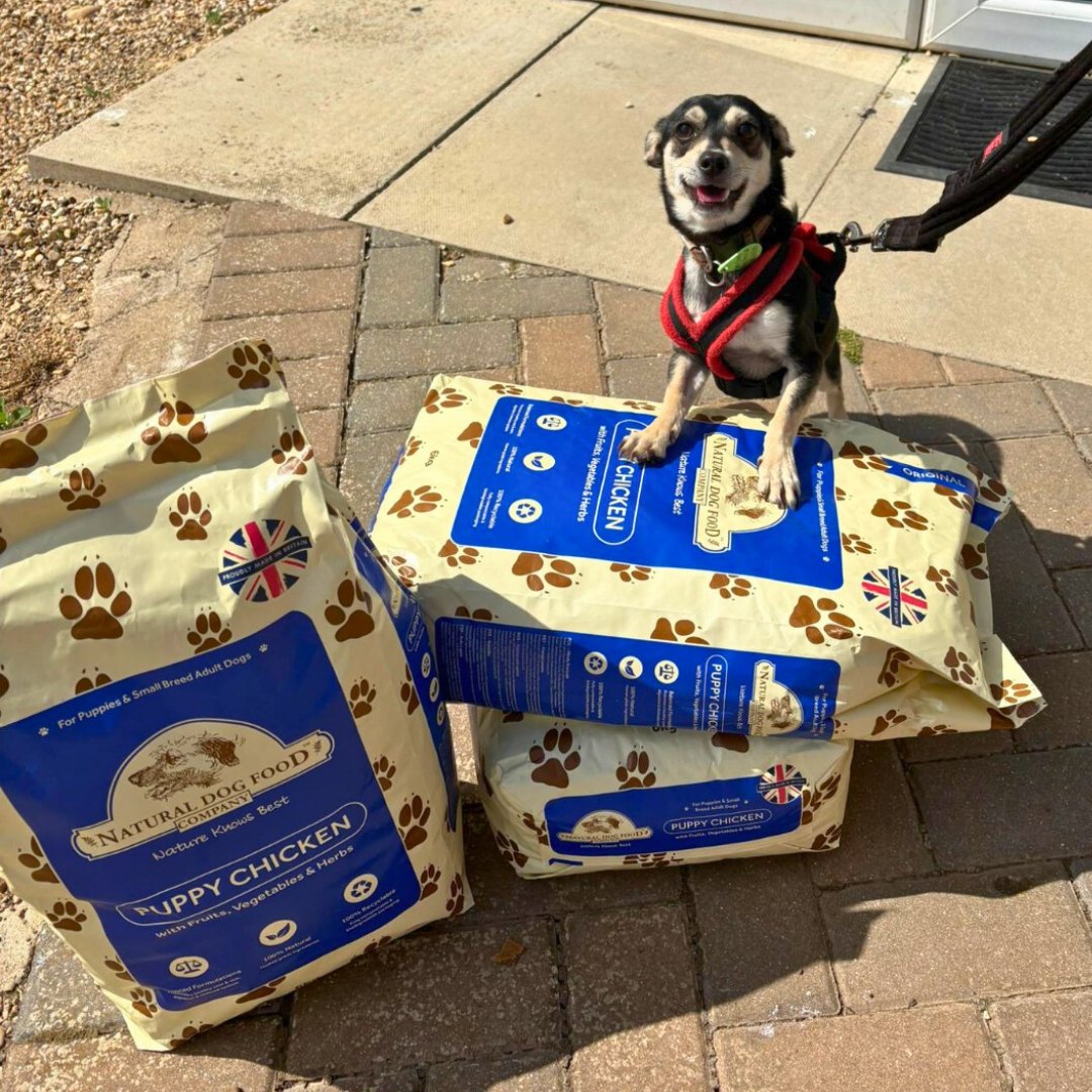 Jerry Green Dog Rescue (@jerrygreendogs) on Twitter photo A huge thank you to <a href="/Natural_DogFood/">Natural Dog Food Company</a> for their incredibly generous donation to our South Lincolnshire Centre. They kindly gifted us over 200 bags of food, going a long way to help feed rescue dogs in need. 🌟
Dogs like Milo will be wagging their tails with full tummies! 💚 A huge thank you to <a href="/Natural_DogFood/">Natural Dog Food Company</a> for their incredibly generous donation to our South Lincolnshire Centre. They kindly gifted us over 200 bags of food, going a long way to help feed rescue dogs in need. 🌟
Dogs like Milo will be wagging their tails with full tummies! 💚