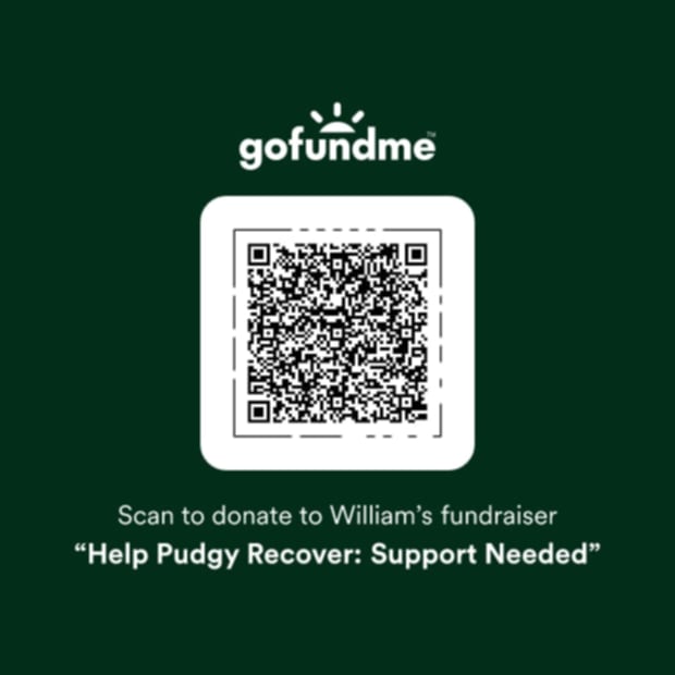 evan_ginzburg's tweet image. Help wrestling Chris Michaels (WWF/ECW/UWF) help his sick dog Pudgy, please. Even $1 helps.
