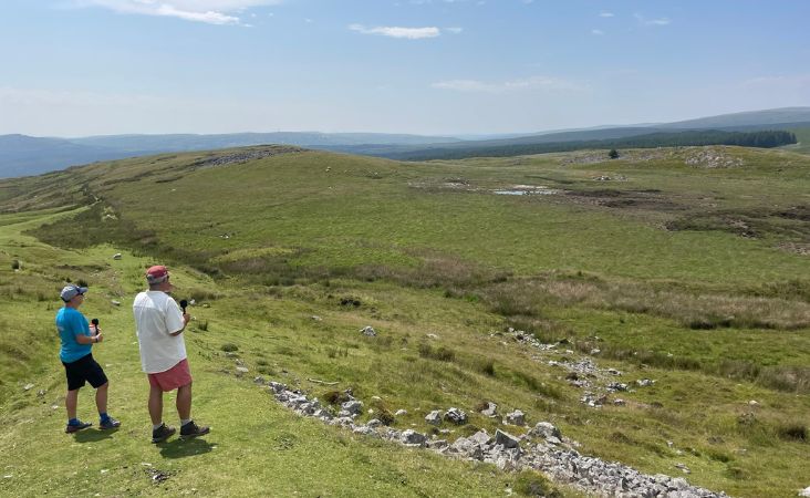 Call of the Wild tweet media