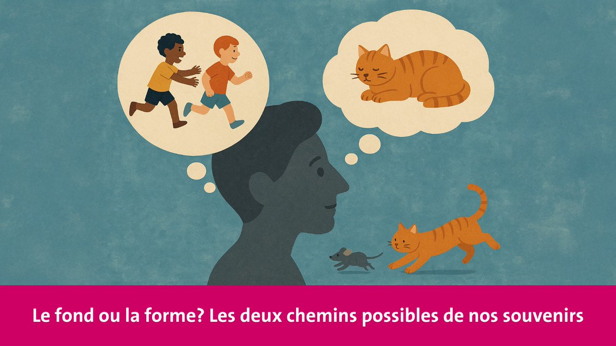 UNIGEnews's tweet image. Une équipe de l’UNIGE montre que les souvenirs sont déclenchés davantage par le sens profond d’une situation vécue que par sa forme. #UNIGE #recherche #psychologie
ow.ly/Bly750WnzSv
