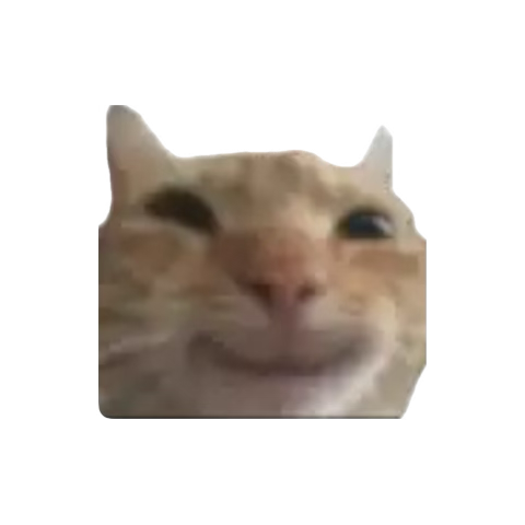 Archistewart