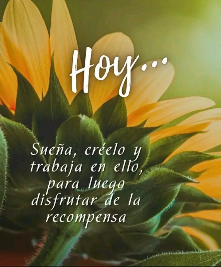 Natacha (@natacha962) on Twitter photo Hoy sueña, créelo y trabaja en ello, para luego disfrutar de la recompensa. Lindo día. #Cuba #ClaridadTunera #CubaEstáFirme <a href="/ClaridadTunera/">Claridad Tunera</a> <a href="/cafemartiano/">❤️Café Martiano 🇨🇺</a> <a href="/GHNordelo5/">Gerardo Hdez. Nordelo</a> <a href="/Giro5O/">Giraldo Martín Lazo</a> <a href="/Giannylb2022/">Gianny López Brito</a> <a href="/yordanyhabana/">𝐘𝐨𝐫𝐝𝐚𝐧𝐲𝐇𝐚𝐛𝐚𝐧𝐚 🇨🇺🇻🇪🇳🇮🇵🇸</a> <a href="/YonyCuba120887/">Yony Cuba</a> <a href="/AsambleaCuba/">Asamblea Nacional Cuba</a> Hoy sueña, créelo y trabaja en ello, para luego disfrutar de la recompensa. Lindo día. #Cuba #ClaridadTunera #CubaEstáFirme <a href="/ClaridadTunera/">Claridad Tunera</a> <a href="/cafemartiano/">❤️Café Martiano 🇨🇺</a> <a href="/GHNordelo5/">Gerardo Hdez. Nordelo</a> <a href="/Giro5O/">Giraldo Martín Lazo</a> <a href="/Giannylb2022/">Gianny López Brito</a> <a href="/yordanyhabana/">𝐘𝐨𝐫𝐝𝐚𝐧𝐲𝐇𝐚𝐛𝐚𝐧𝐚 🇨🇺🇻🇪🇳🇮🇵🇸</a> <a href="/YonyCuba120887/">Yony Cuba</a> <a href="/AsambleaCuba/">Asamblea Nacional Cuba</a>