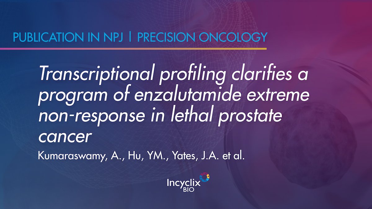 Incyclix Bio (@incyclixbio) on Twitter photo #NewPublication: Findings from a recent study showed knock down of #CDK2 or treatment w/ INX-315 in extreme non-responder (ENR) prostate cancer cell lines reduced cell viability and AR target genes, suggesting potential use in #prostatecancer. <a href="/Nature_NPJ/">npj Journals</a>: nature.com/articles/s4169… #NewPublication: Findings from a recent study showed knock down of #CDK2 or treatment w/ INX-315 in extreme non-responder (ENR) prostate cancer cell lines reduced cell viability and AR target genes, suggesting potential use in #prostatecancer. <a href="/Nature_NPJ/">npj Journals</a>: nature.com/articles/s4169…