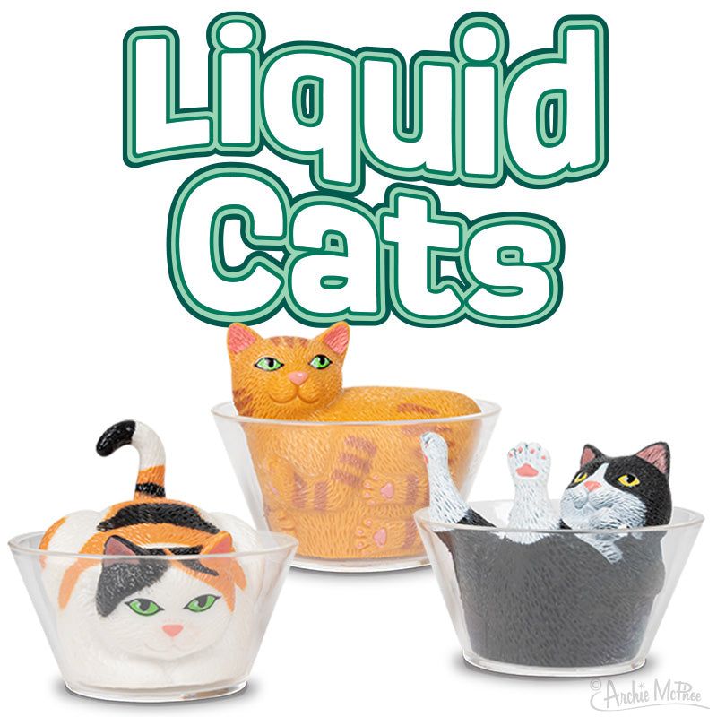New items! Liquid cats! Kitty looks solid, but can be liquid under some circumstances. 
buff.ly/4U4ARcw