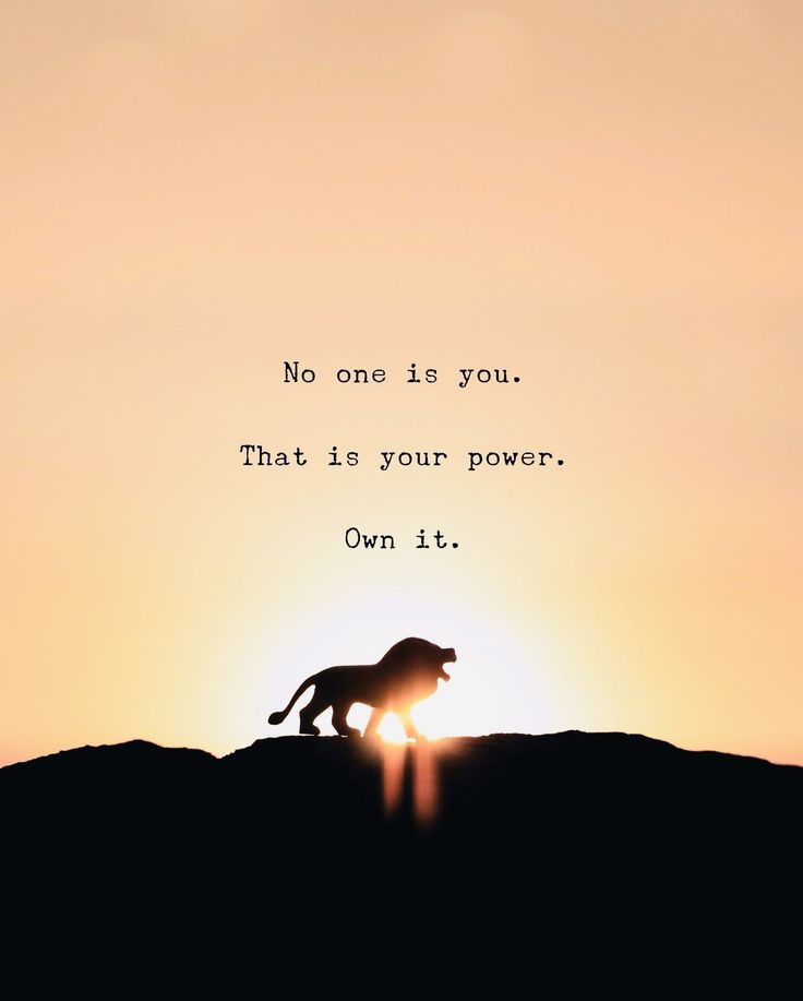 POSITIVITY (@positivitysaid) on Twitter photo 