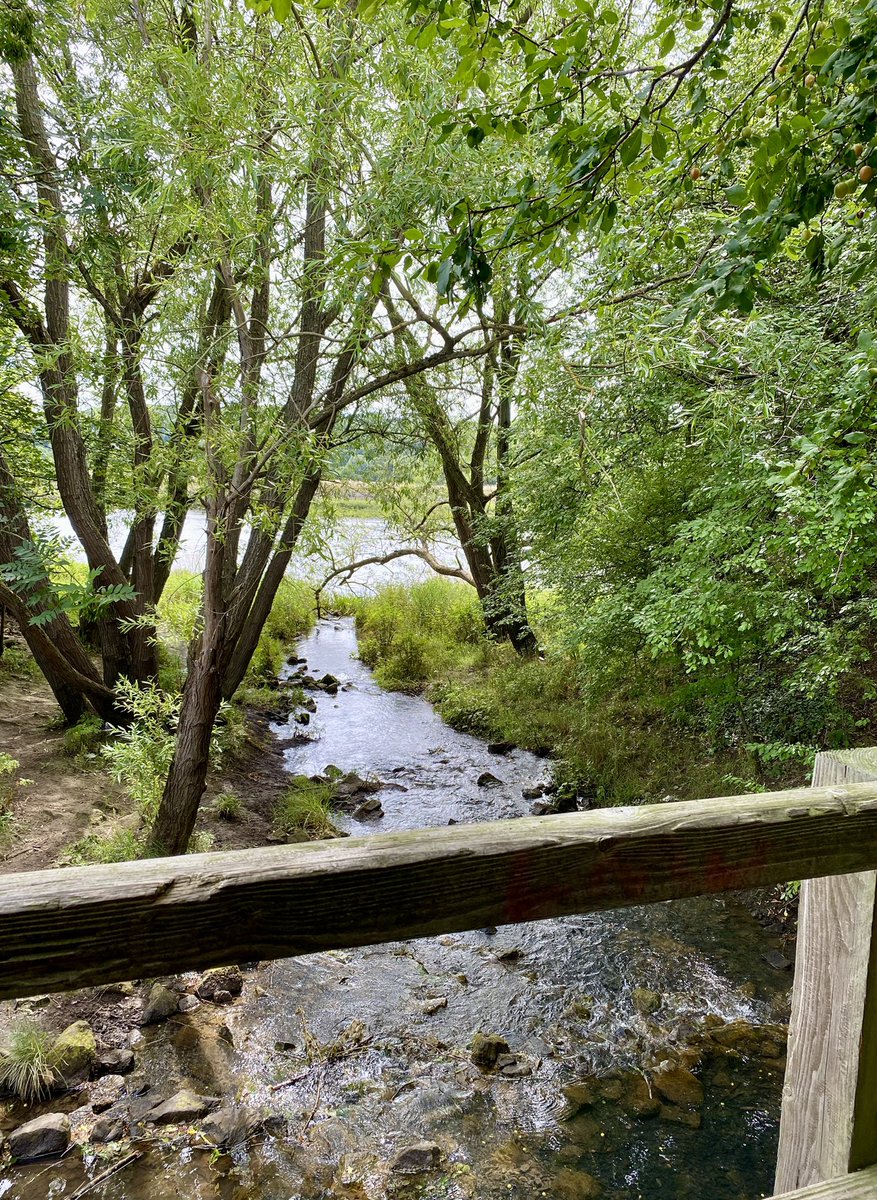 Day 1 of the <a href="/suezUK/">SUEZ UK</a> UK senior leadership team coast to coast walk along #HadriansWall done! | #Big4 charity challenge. Great scenery, lovely weather &amp; good company BUT my feet are feeling it!! It’s all for charity &amp; donations welcome lnkd.in/dtTYueDb