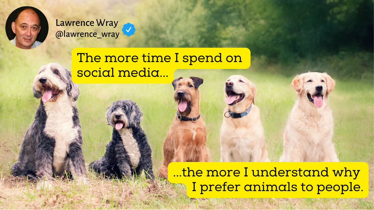 I used to be able to scroll and tweet... now I'm bombarded with videos of people getting killed in real life, animals being injured, kids fighting... just depraved cruelty.
It ain't fun anymore. 
Social media used to be social. People communicating.
I dispair.