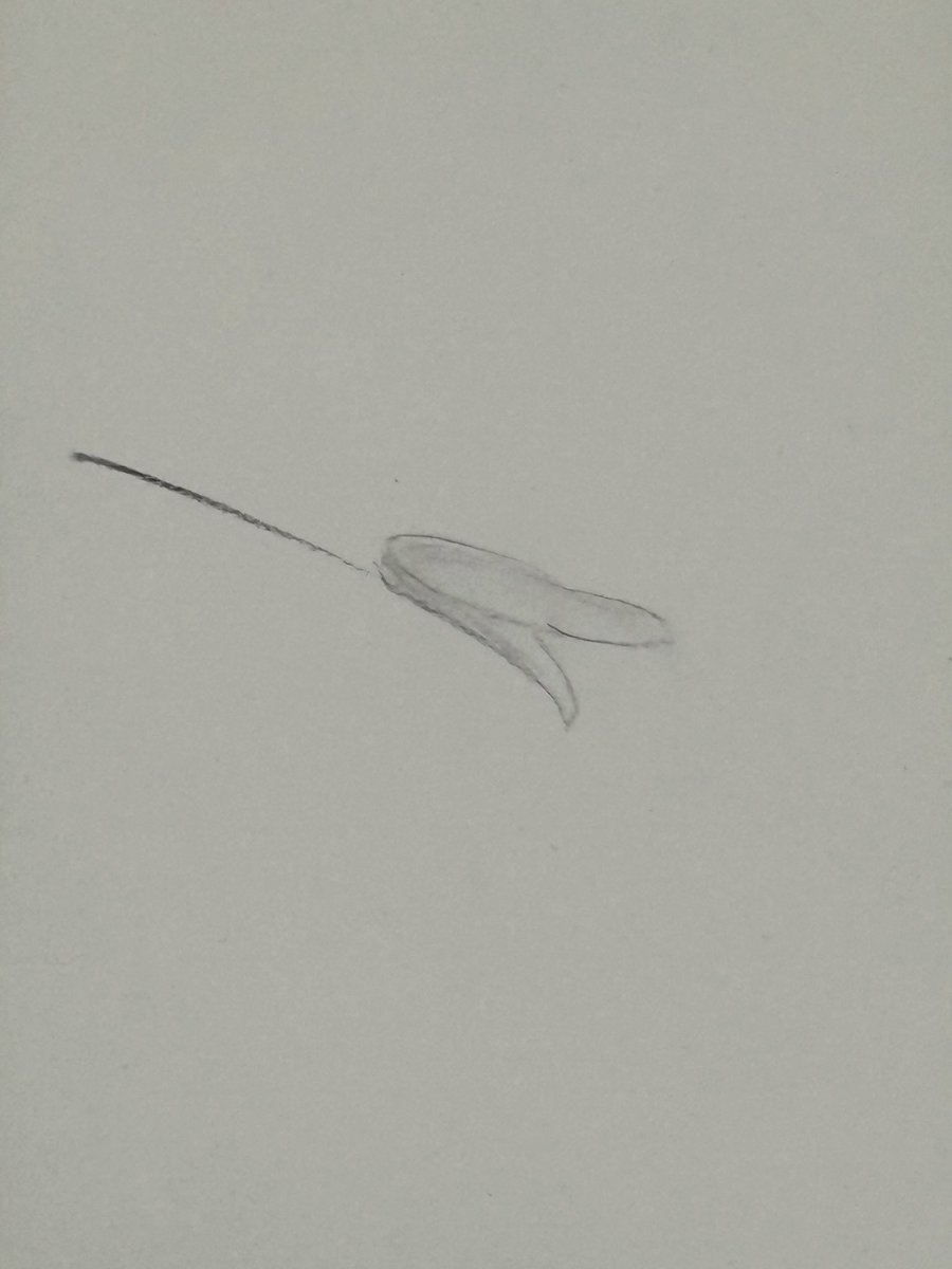 jazzkiyu's tweet photo. #水墨画
#Inkpainting
#Pinturaentinta
#Peintureàlencre
#수묵화 https://t.co/q6PdIULhow