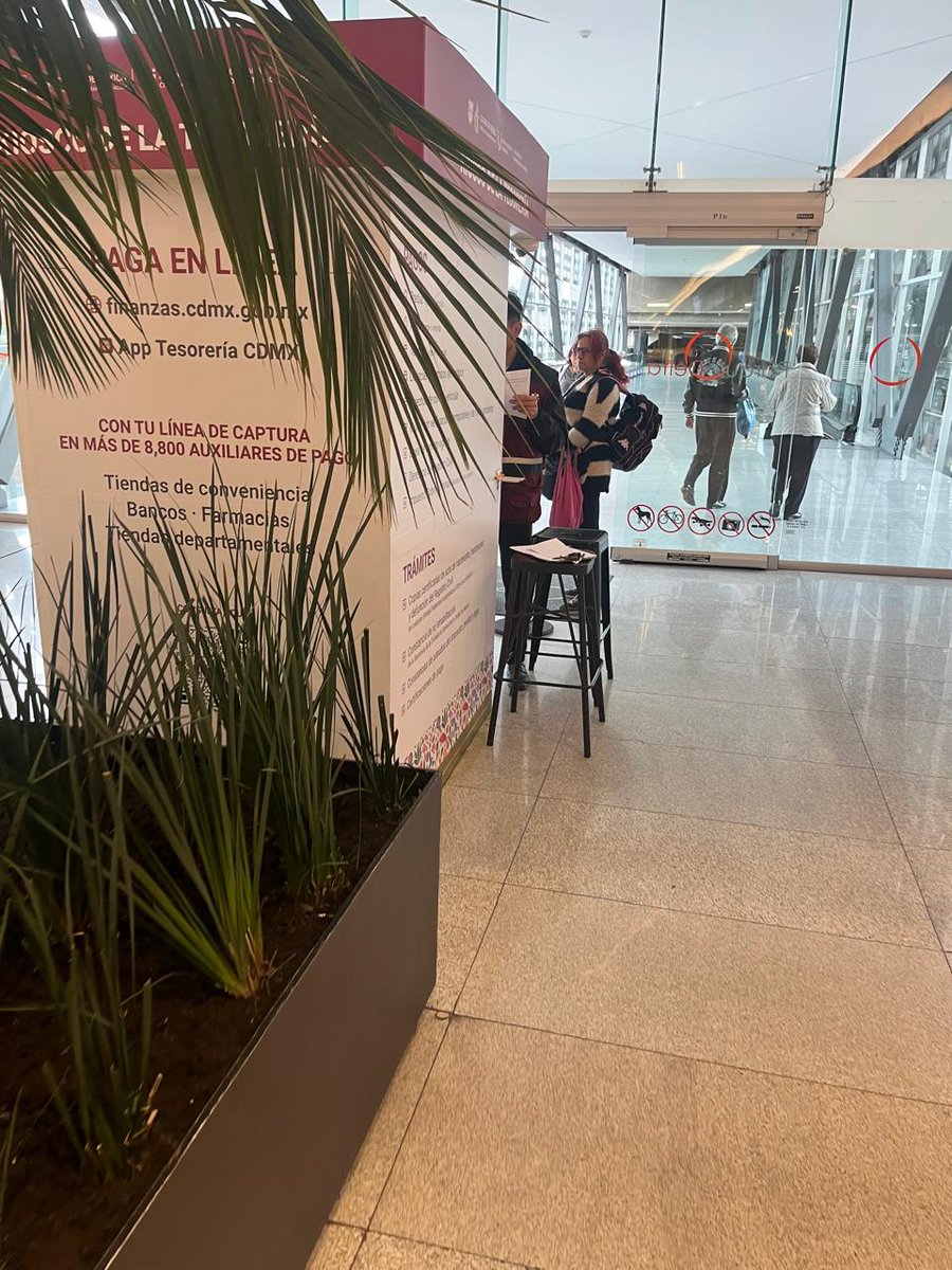 𝑺𝒕𝒆𝒑𝒉 tweet media