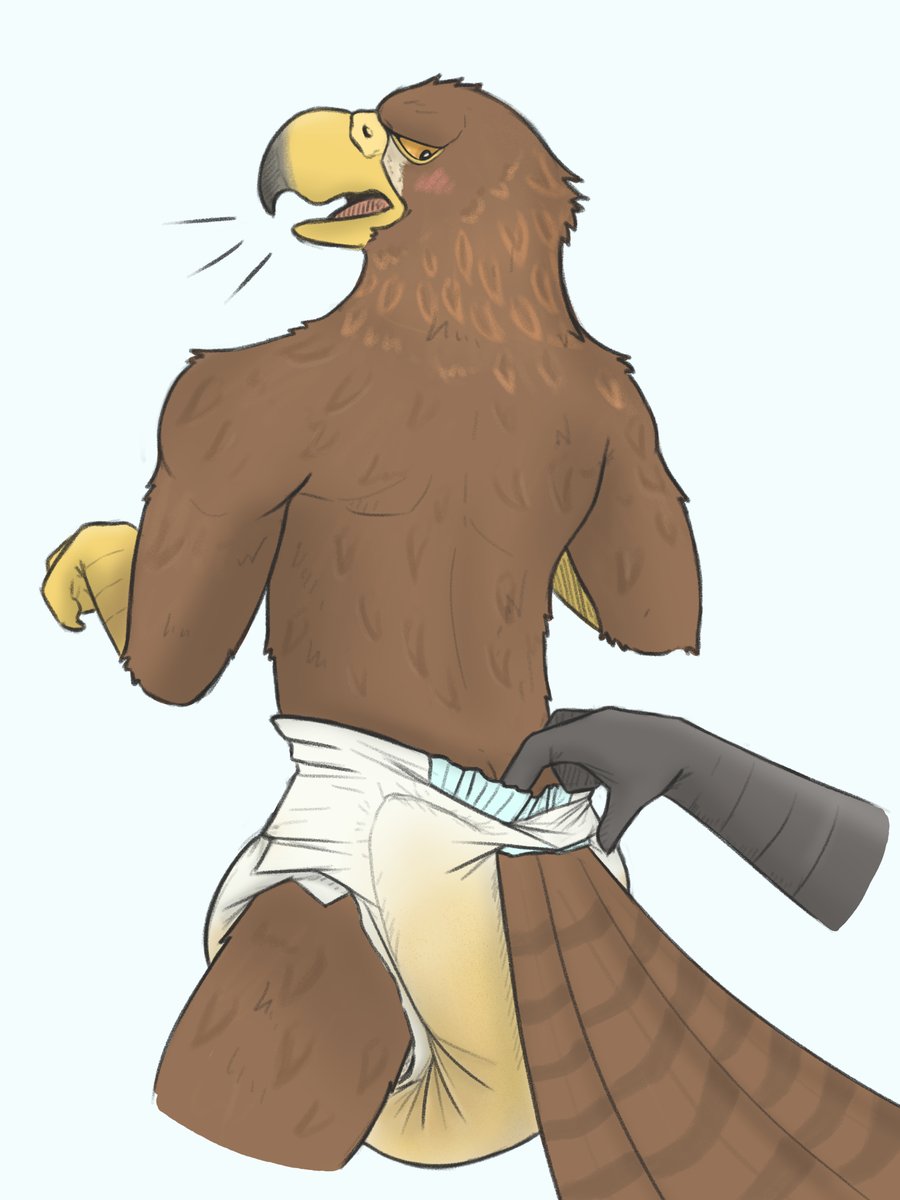 more bird with color