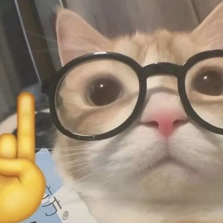 Random reminder to go follow me on youtube or spotify or whatever streaming u use 👍