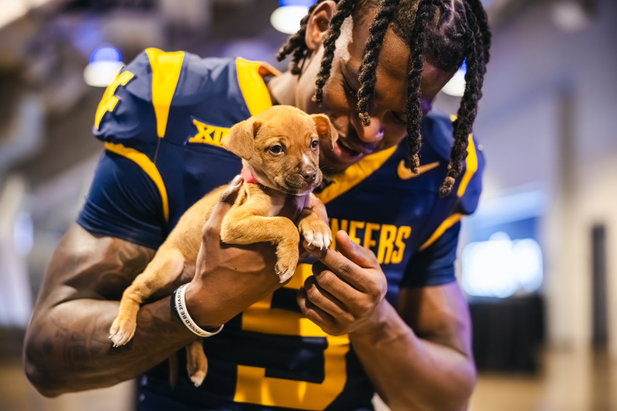 WVUfootball's tweet image. Pads & Paws ๐พ
Thanks to @bestfriends for letting us meet the pups at #Big12FB ๐ค