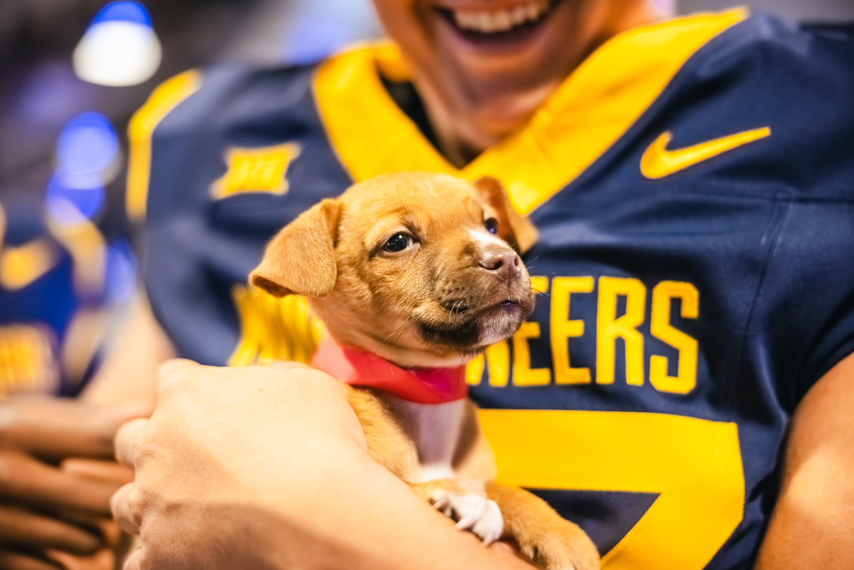 WVUfootball's tweet image. Pads & Paws ๐พ
Thanks to @bestfriends for letting us meet the pups at #Big12FB ๐ค