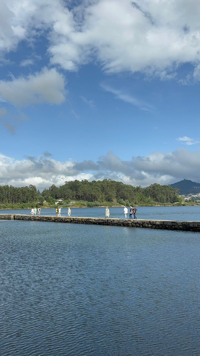 PARKINSON VIGO tweet media