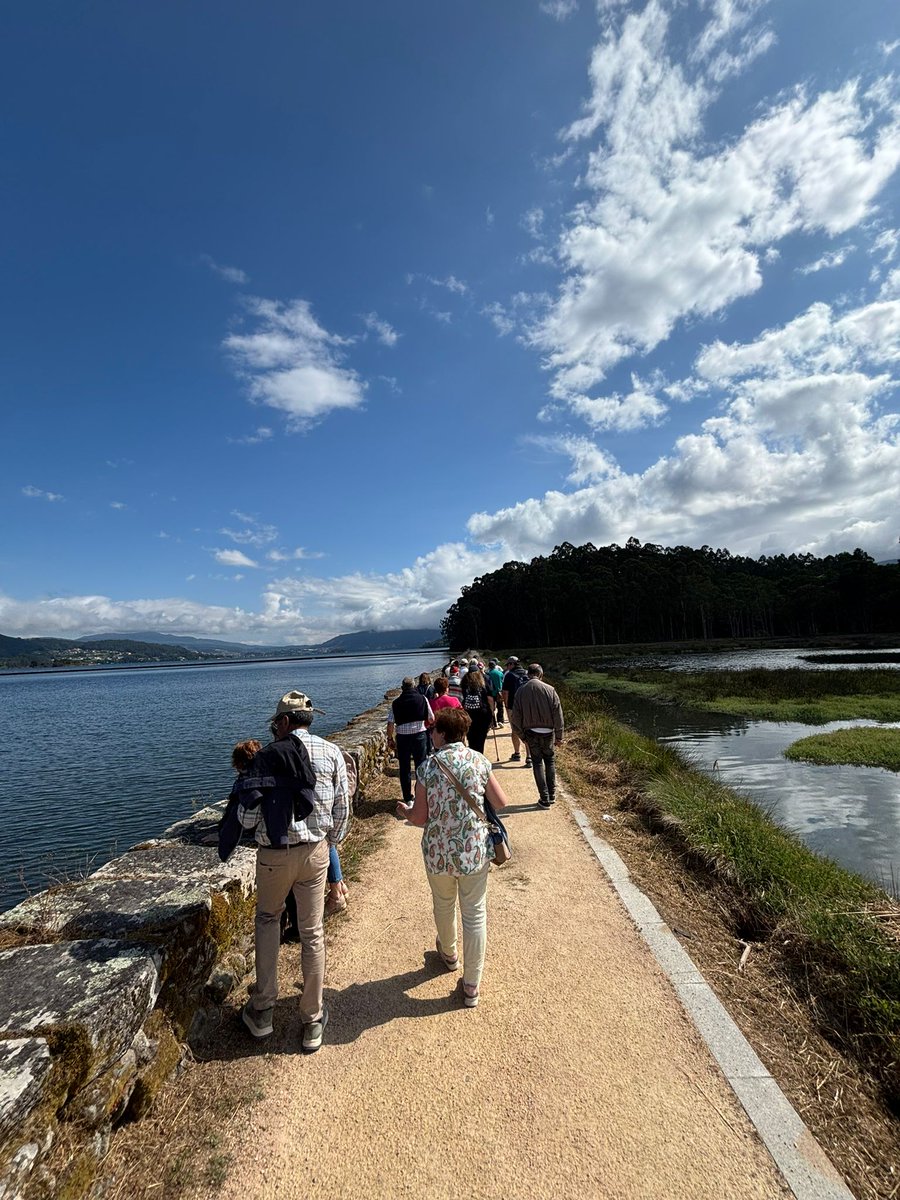 PARKINSON VIGO tweet media