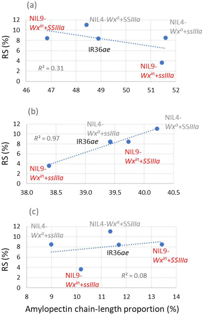 Improving resistant #starch in #rice = better fiber, lower #GlycemicIndex, healthier diets! A new study reveals key gene combos (beIIb + SSIIIa + Wxa) to maximize RS. A win for breeders, rice research, &amp; public health! Read doi.org/10.1002/csc2.7…