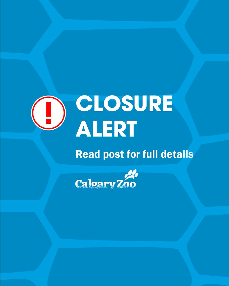 calgaryzoo's tweet image. Adjusted Building Hours Alert 📣 Penguin Plunge will open at 9:30 a.m. on the following days to accommodate our Penguin Breakfast events:
June 28
July 6, 13, 19, and 27
August 2, 3, 10, 16, 24, and 31
Thank you for your understanding! 🐧
#YourZooYYC