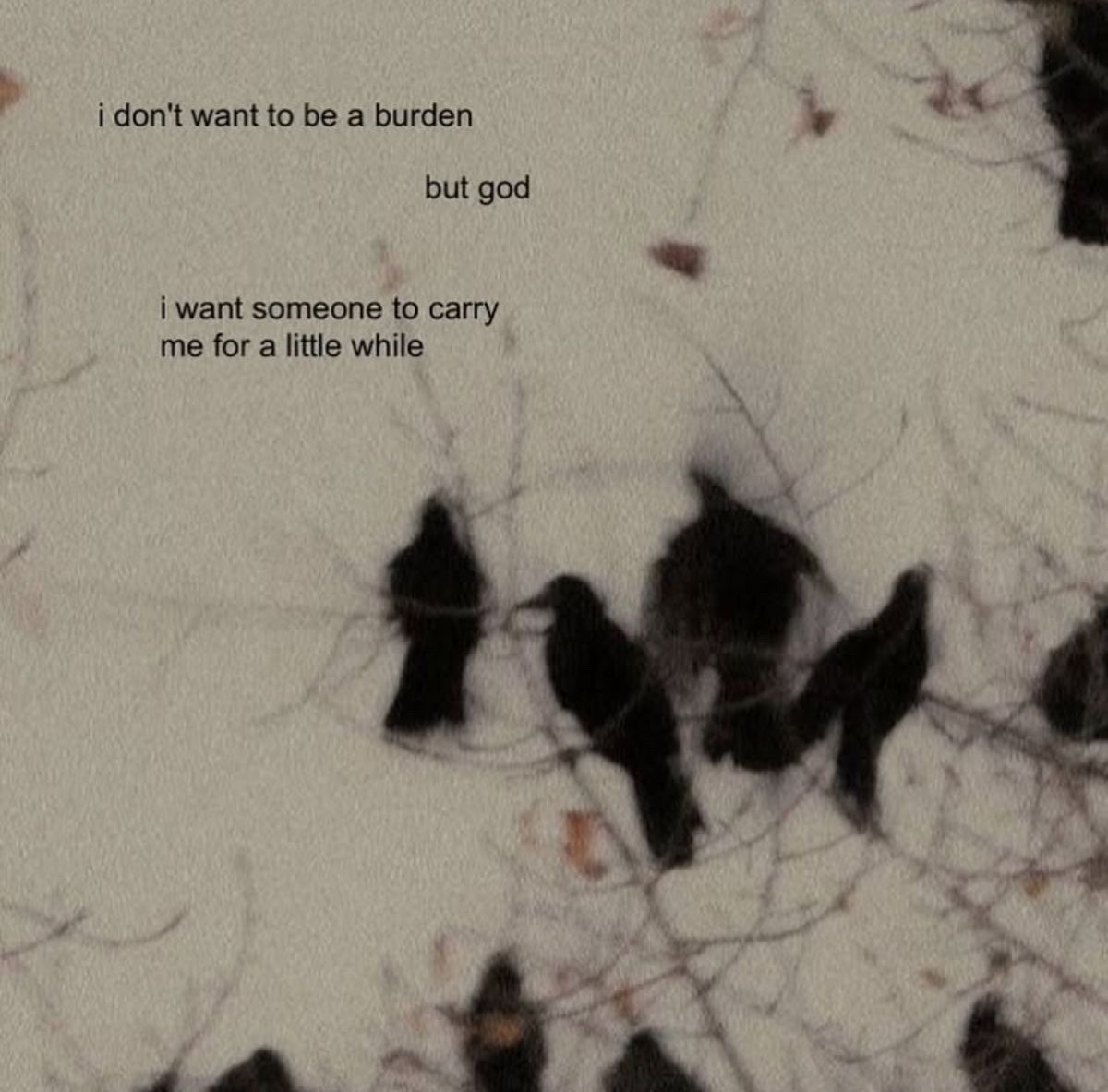 Synexdoche (@amor_fatti) on Twitter photo 