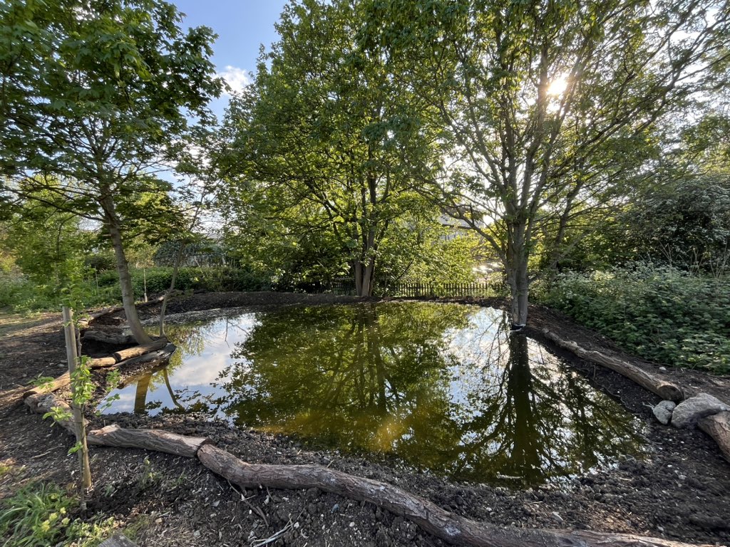 “Oi, have you got a licence for that pond?”

The Environment Agency have now taken time out of their busy schedule of ignoring environmental crime to pay me a visit &amp; threaten me with prosecution for creating a pond without a permit. 

It would almost be funny if it wasn’t so