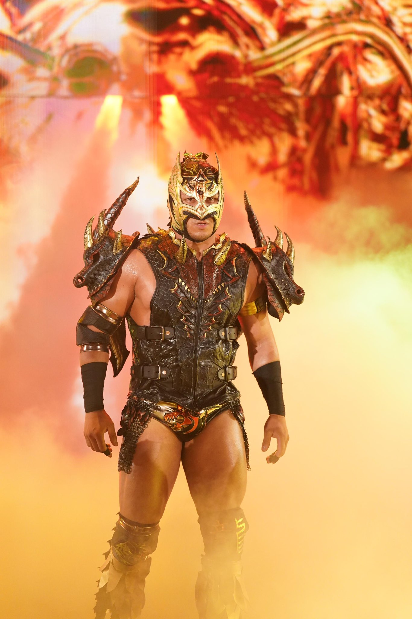 WWE ドラゴン・リー Dragon Lee ドラゴン・リー added a new