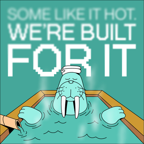 WalrusProtocol's tweet photo. cuz you’re hot then you’re cold https://t.co/7fgBoNN8Ix