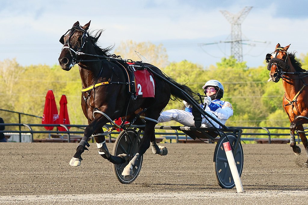 Chantilly (2024 Canadian Horse of the Year) is entered to qualify tomorrow morning (Friday) <a href="/WoodbineSB/">Woodbine Mohawk Park</a> after being scratched from her last two starts.

📸 | <a href="/woodbinephotos/">Woodbine Photos</a>