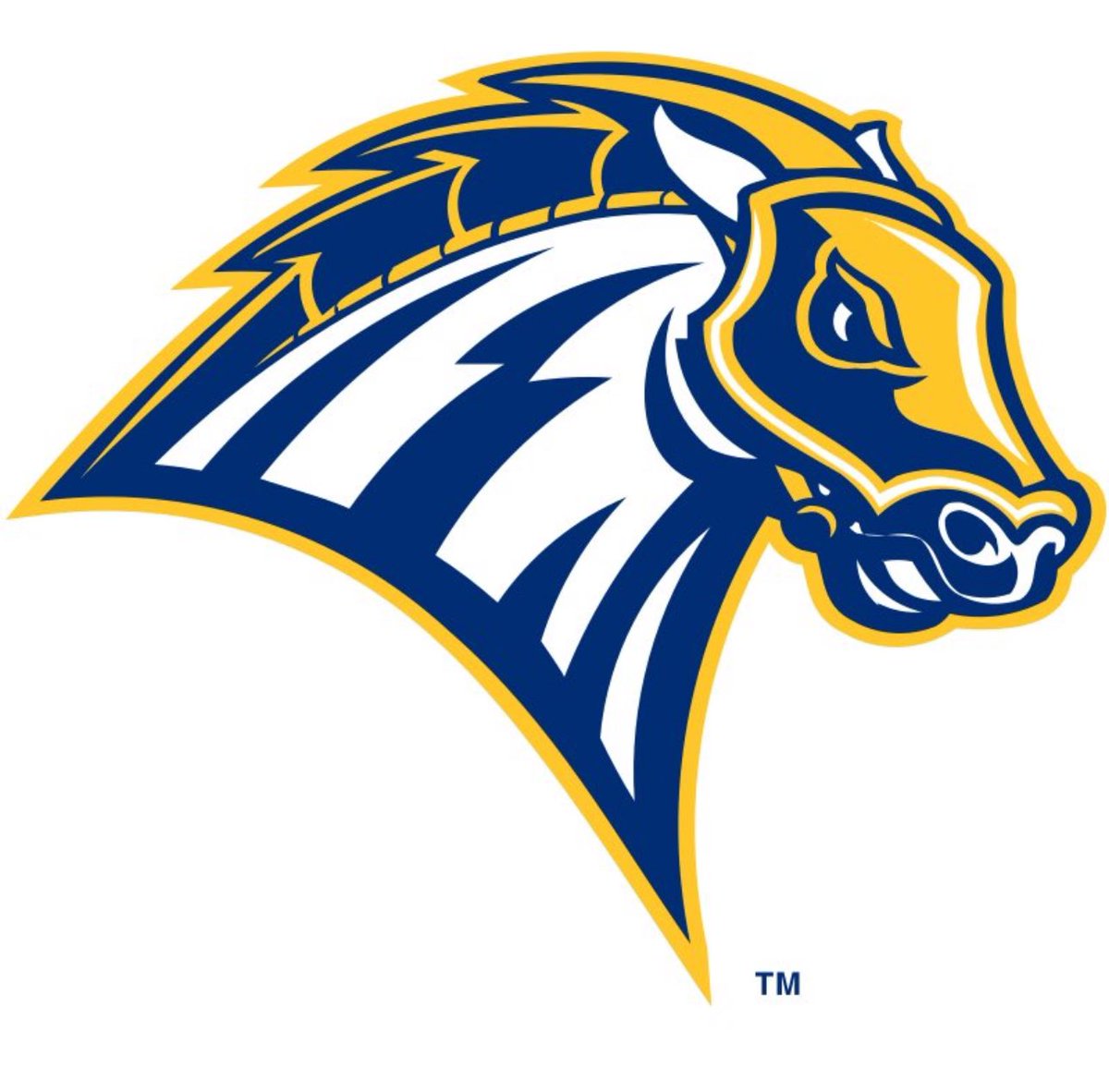 Amir Butler tweet media