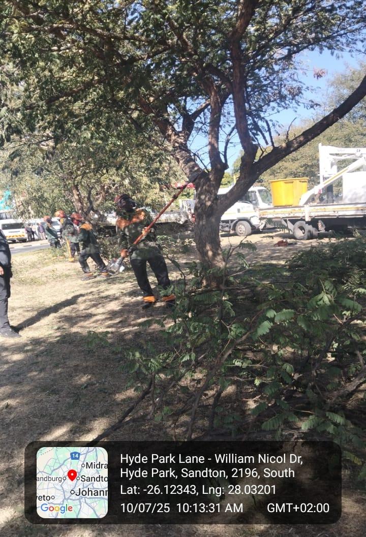 CrumRegionB's tweet image. In addition to tackling potholes, various service delivery breakdowns were attended to; ensuring a cleaner, safer, and more responsive City. @CityofJoburgZA @MyJRA
@CRUM_CoJ @CleanerJoburg @JoburgParksZoo @JoburgMPD @DadaMorero #JoburgReimagined