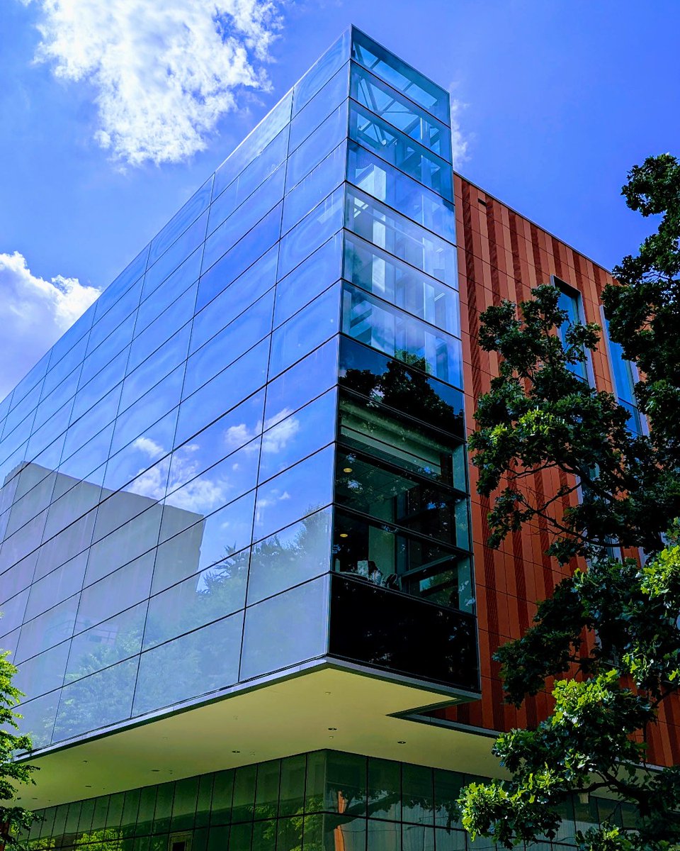 Blue skies, bright ideas 🌤️