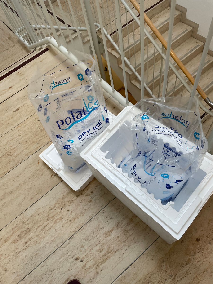 Was mach ich jetzt Dummes mit 3 Kilo Trockeneis?🤔