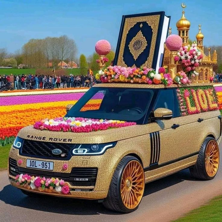 Olbana ibsa (@ibsaolbana) on Twitter photo 