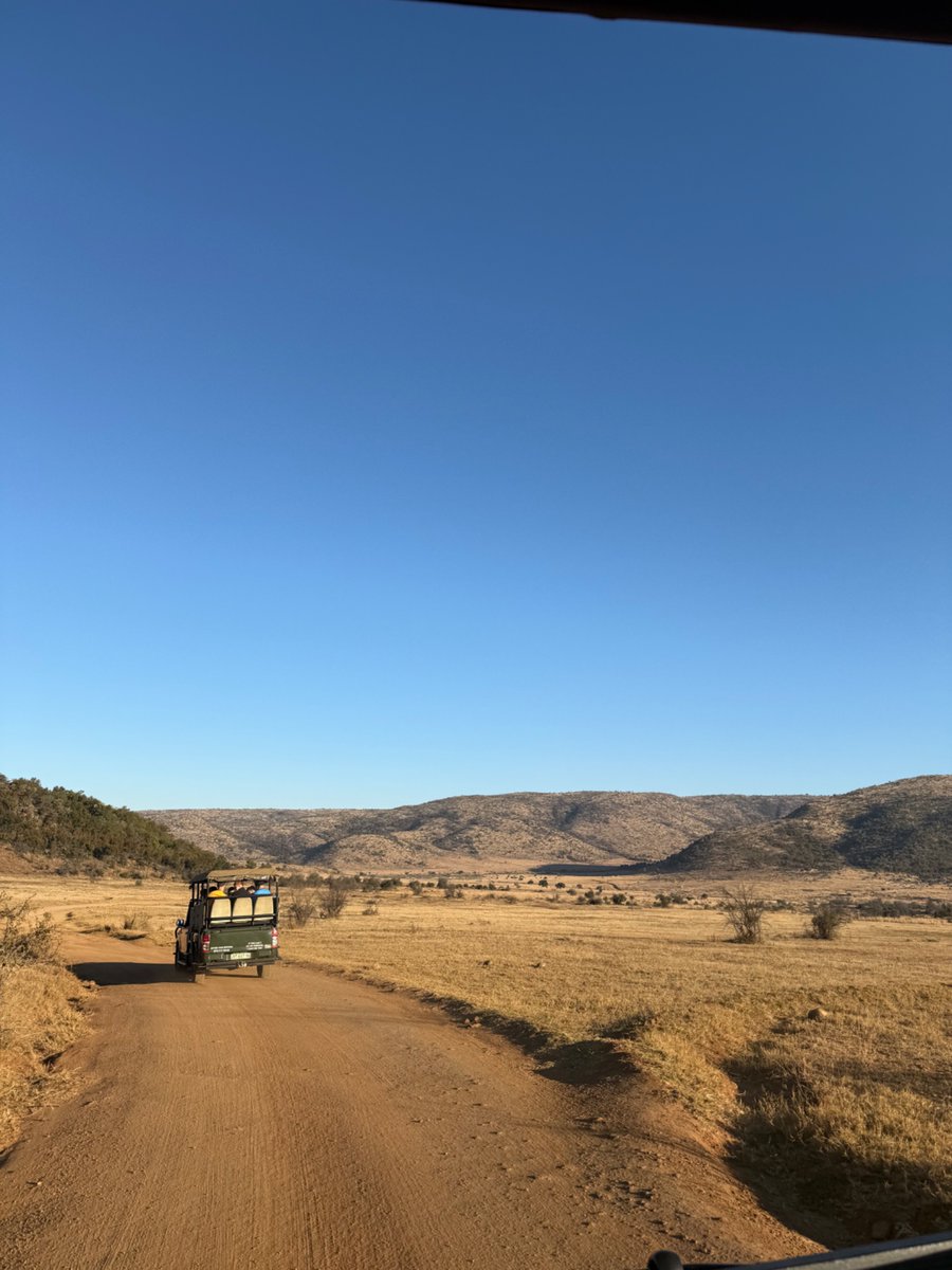 NSB Sport (@nsb_sport) on Twitter photo Day 3 Completed ✅
Unforgettable experience for our boys at the <a href="/ivorytreegl/">Ivory Tree Game Lodge</a> game drive this evening - so much incredible wildlife on show! 🦒🦏🐘
<a href="/gbsportstours/">GB Sports Tours</a>
#SA2025 Day 3 Completed ✅
Unforgettable experience for our boys at the <a href="/ivorytreegl/">Ivory Tree Game Lodge</a> game drive this evening - so much incredible wildlife on show! 🦒🦏🐘
<a href="/gbsportstours/">GB Sports Tours</a>
#SA2025