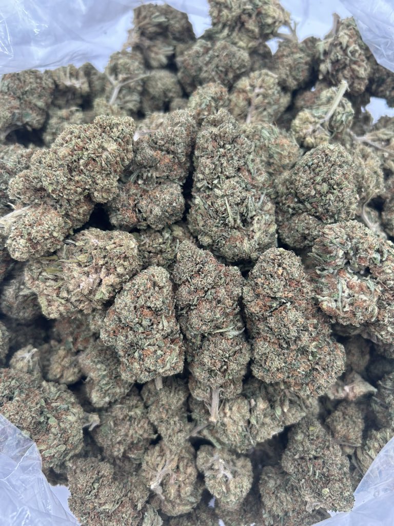 KushWorld's tweet photo. LemonOctane
450 https://t.co/ehpTXrLIAv