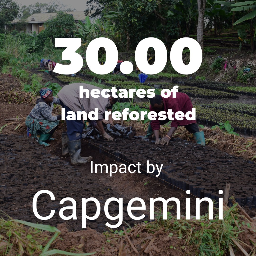 ForestNation tweet media