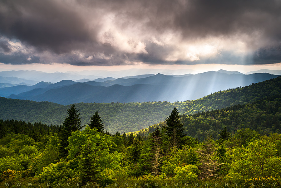 DaveAllenPhoto's tweet image. Summer in the Blue Ridge Mountains near Asheville, North Carolina.  Hope y&apos;all are having a great week! 😀 #photography