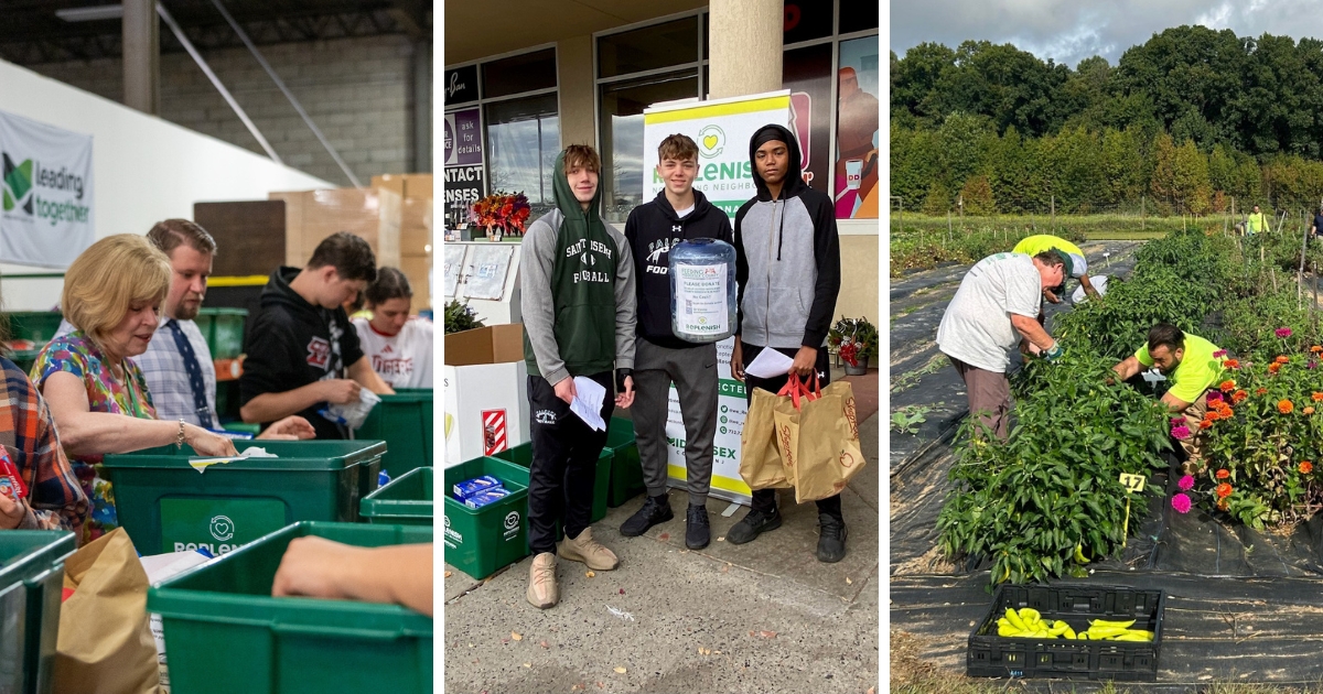 Do you know what #REPLENISH does? We help feed Middlesex County by supplying pantries, coordinating volunteers &amp; partnering with local farmers

Want to help? #Donate, #volunteer and more!

🔗 bit.ly/3ZSI9Qx

#FoodSecurity #MiddlesexCounty #Volunteer