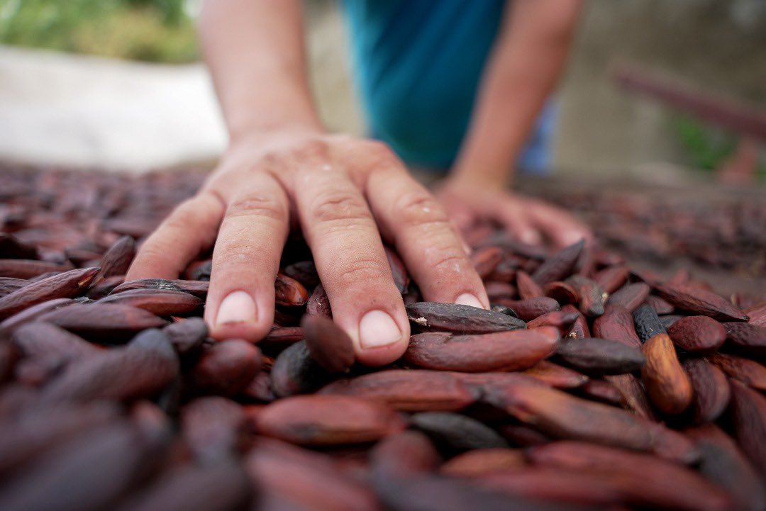 En reunión con los facilitadores del Programa de Desarrollo de Proveedores (PDP), reafirmamos una convicción clave:
Salvar vidas también es creer en las personas y fortalecer su capacidad de salir adelante por sus propios medios.

Datos preliminares del PDP muestran que, con una