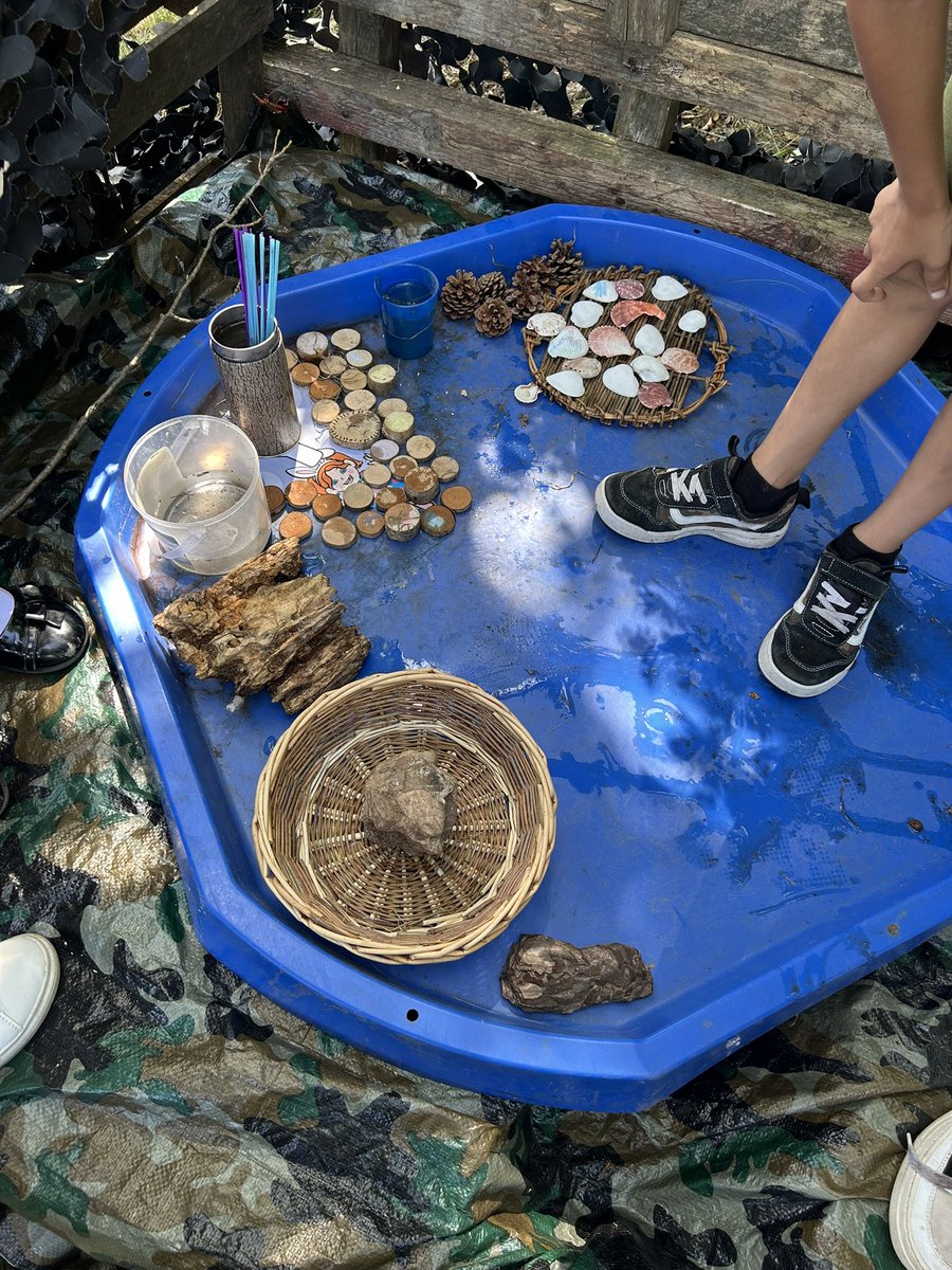 Mrs Ward 🌻 tweet media